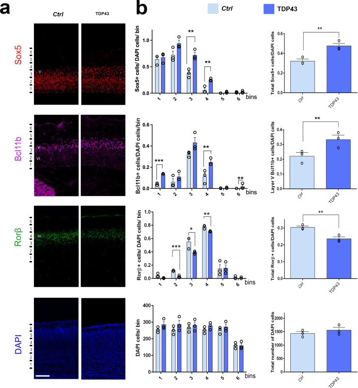 Figure 1—figure supplement 9.