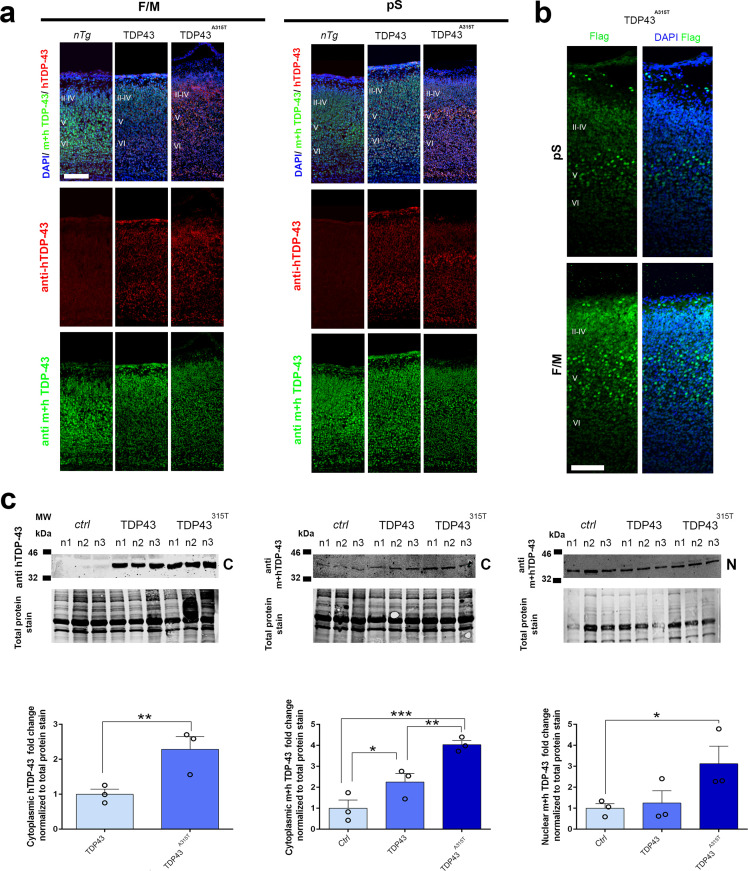 Figure 1—figure supplement 8.