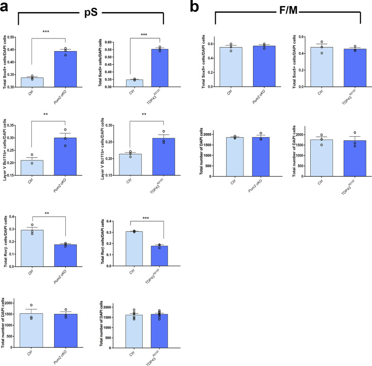 Figure 1—figure supplement 5.