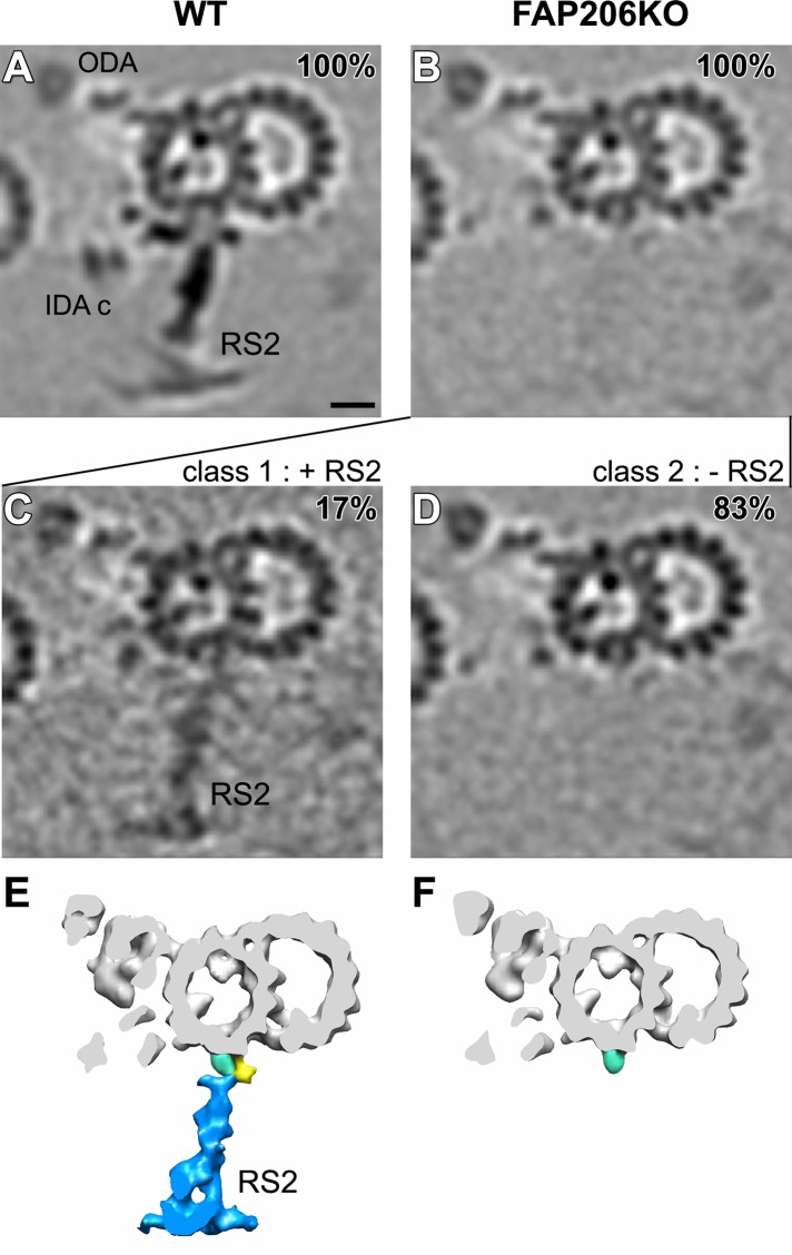 FIGURE 3: