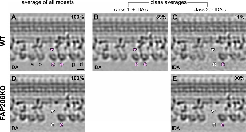 FIGURE 5: