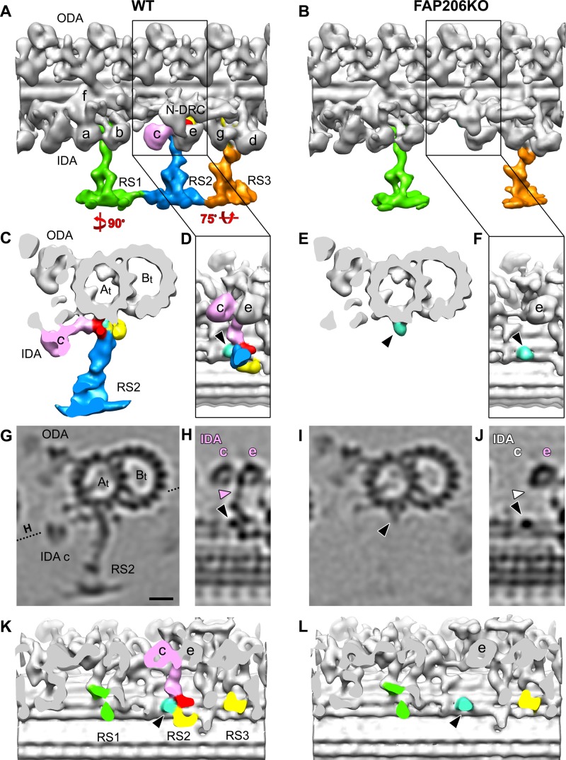 FIGURE 2: