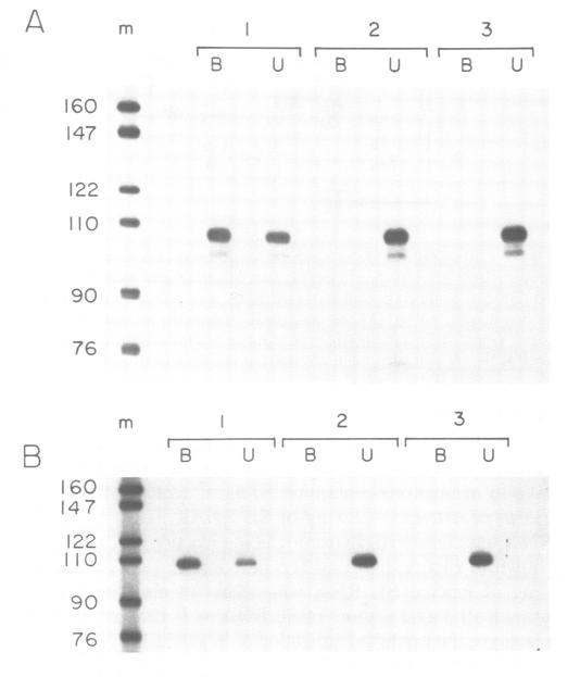 Fig.3