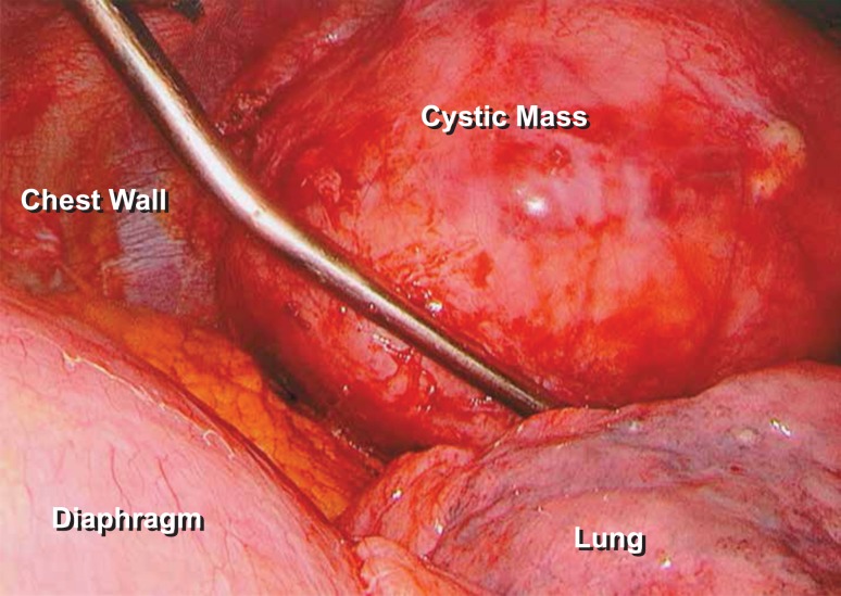 Figure 2: