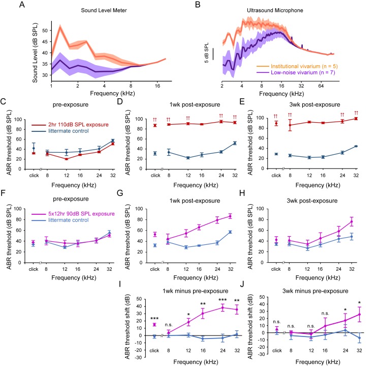 Figure 4—figure supplement 1.