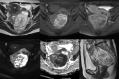 Fig. 13