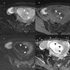 Fig. 17