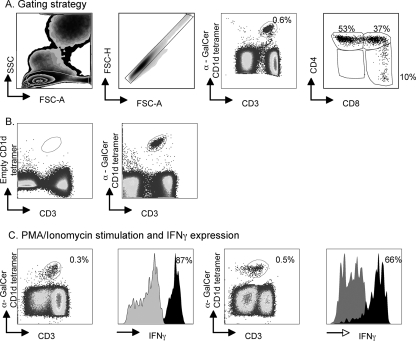 FIG. 1.