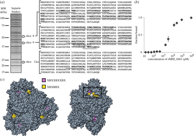 Figure 6.