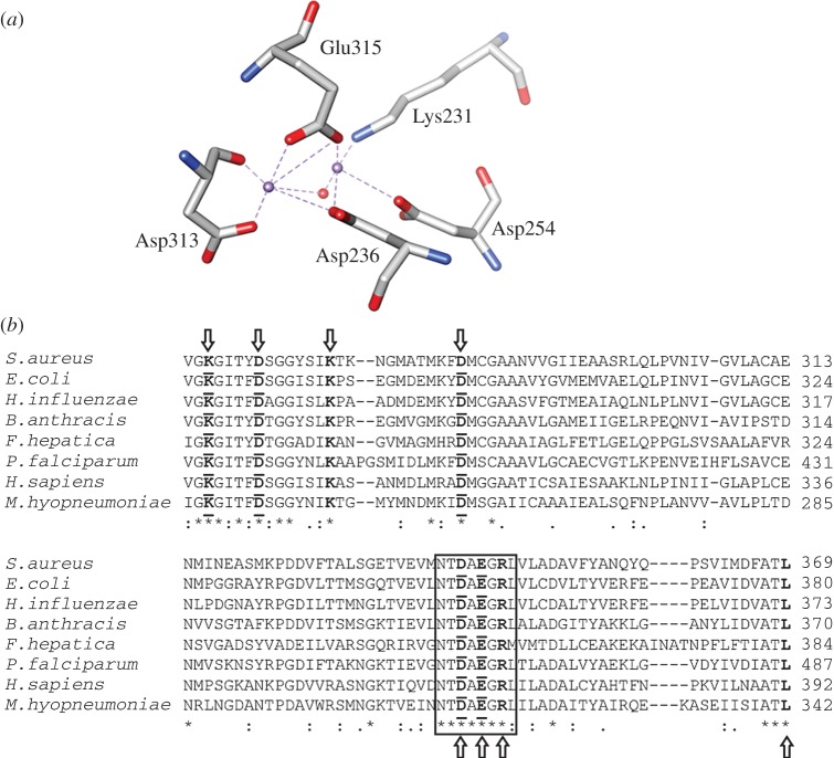 Figure 5.