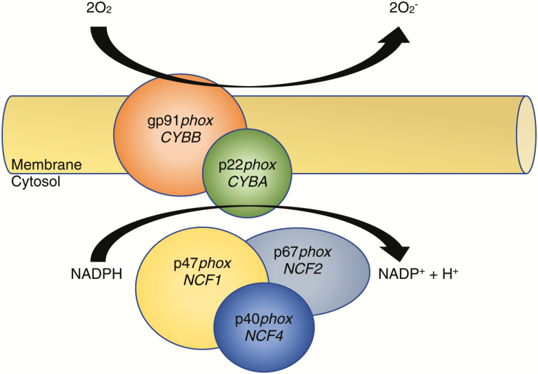 Figure 1.