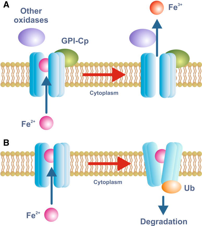 Fig. 3