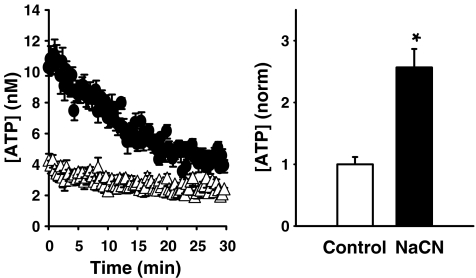 Fig. 2