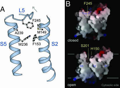 Fig. 4.