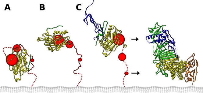 Fig 7