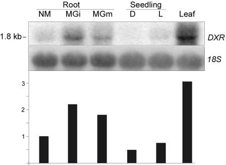 Figure 2.