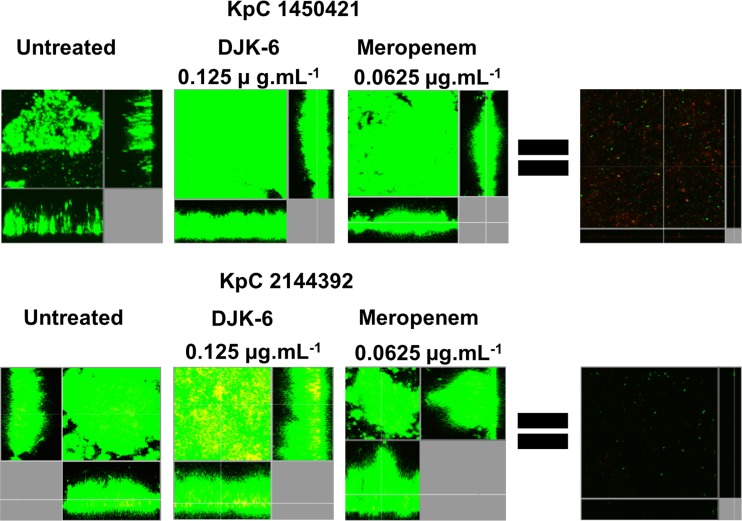 FIG 3