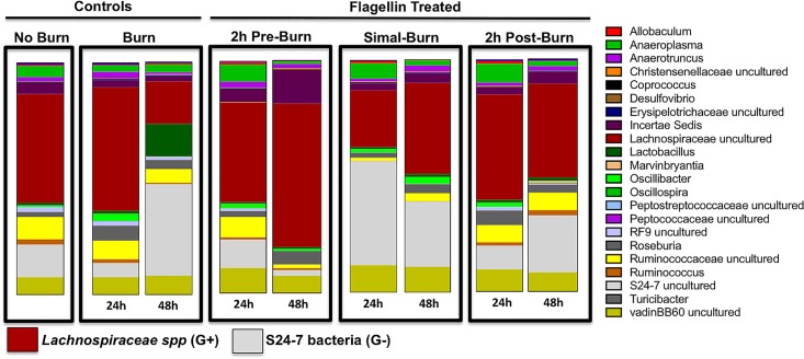 Fig 5