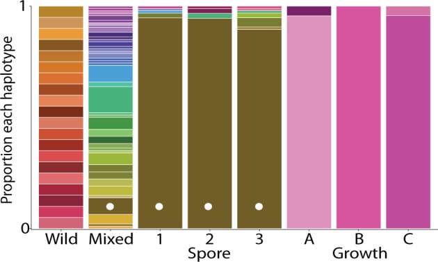 Fig. 3