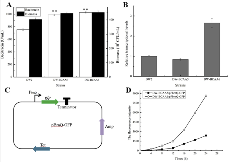 Fig. 7