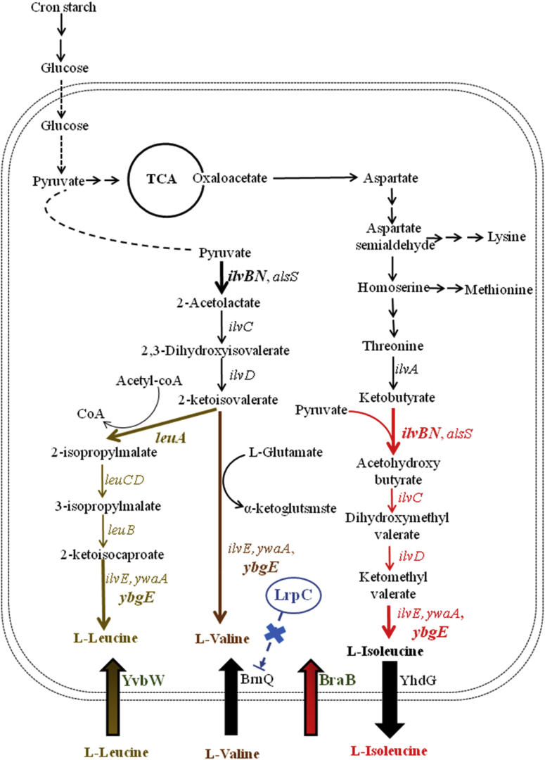 Fig. 2