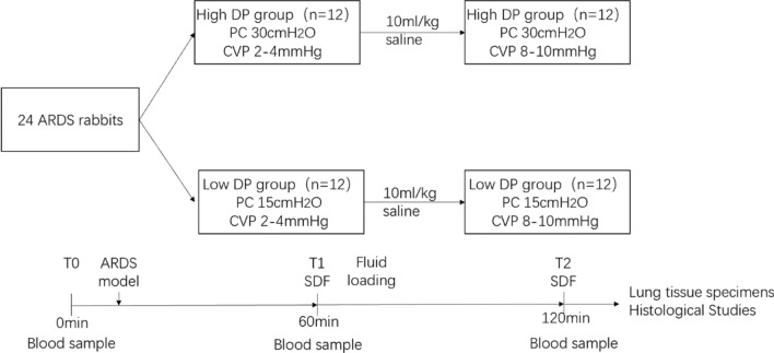 Fig. 1