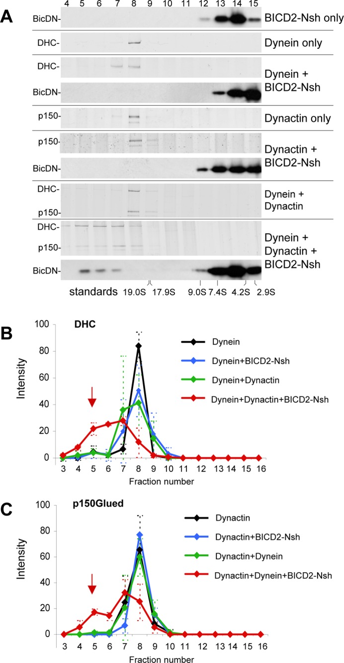 FIGURE 2: