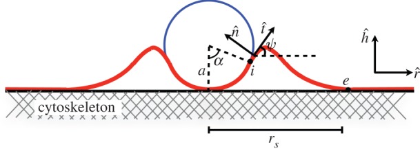 Figure 1.