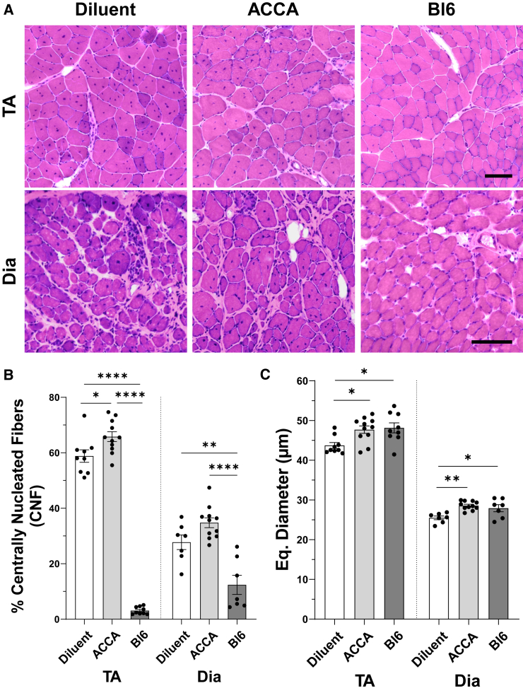 Figure 6