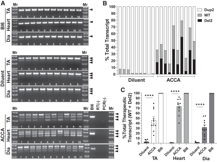 Figure 2