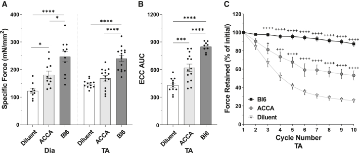 Figure 5