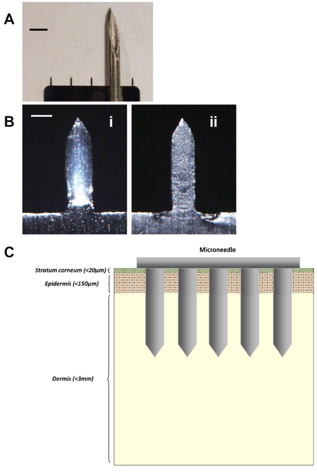 Fig.1