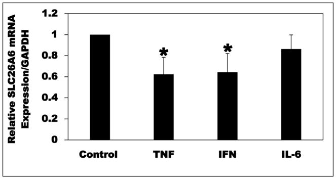 Fig. 10