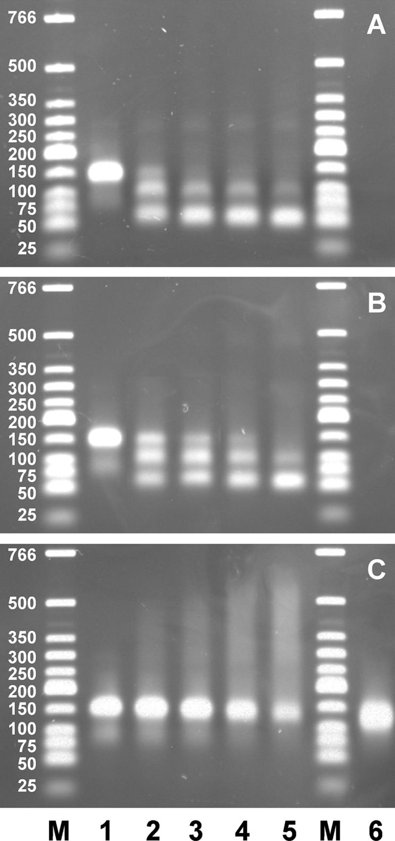 FIG. 5.