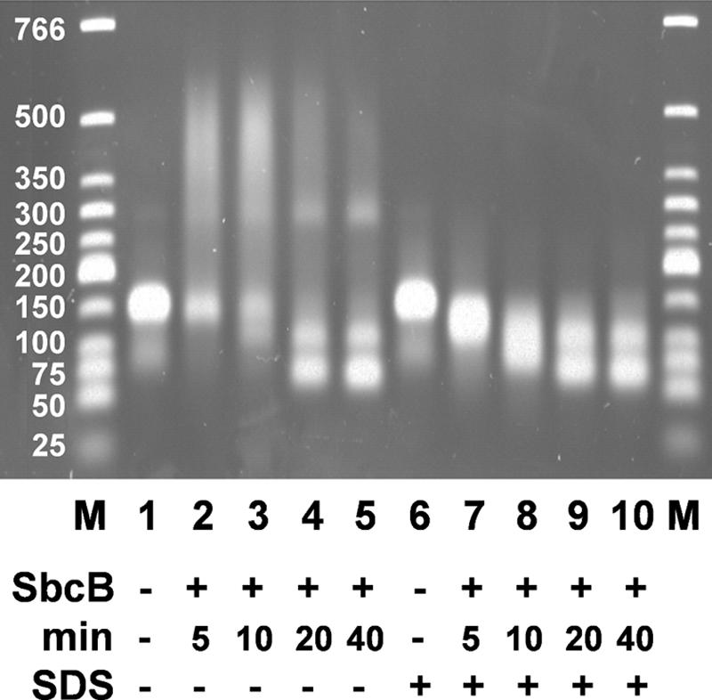 FIG. 7.