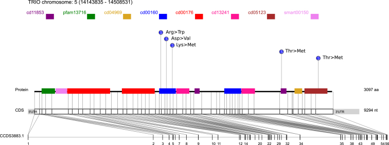 Figure 3