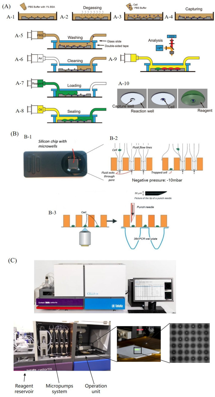 Fig. 6