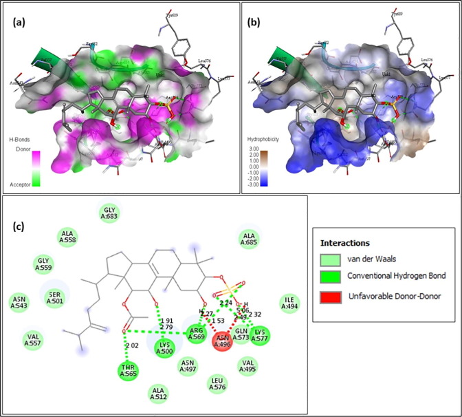 Fig. 7