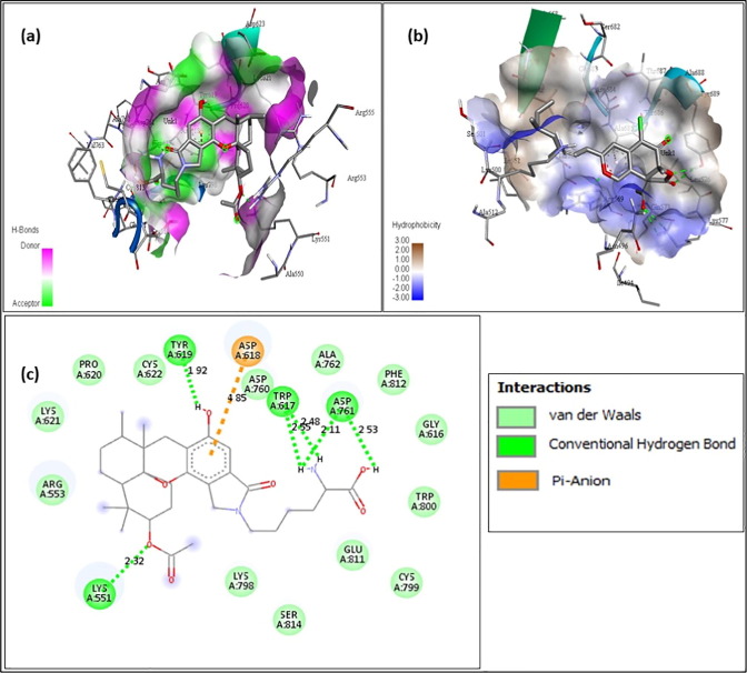 Fig. 3