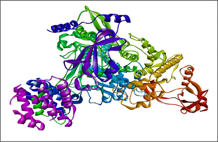 Fig. 1