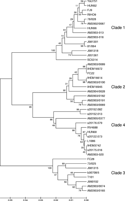 FIG. 1.