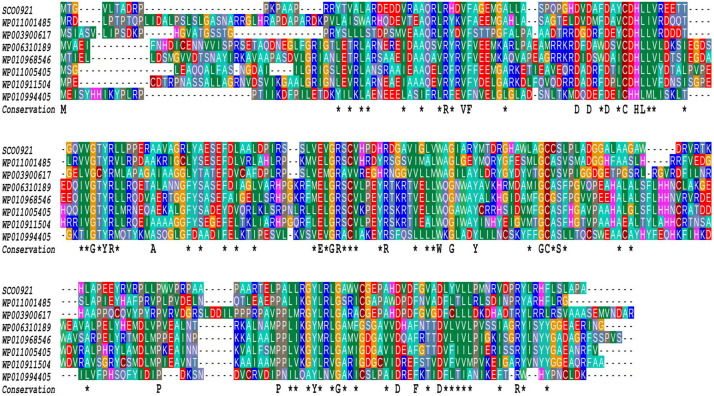 FIGURE 6