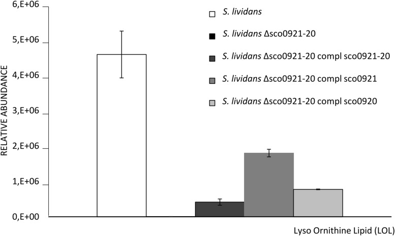 FIGURE 4