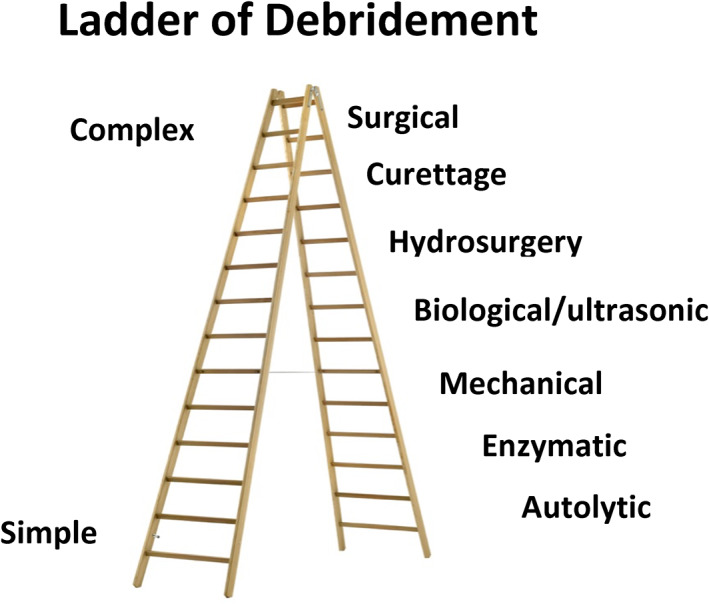 FIGURE 1