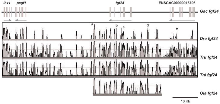 Figure 13