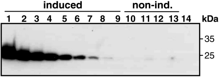 Fig. 6.