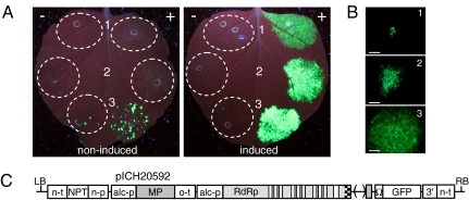 Fig. 2.