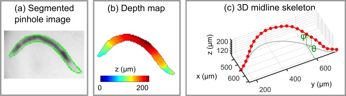 Fig 2