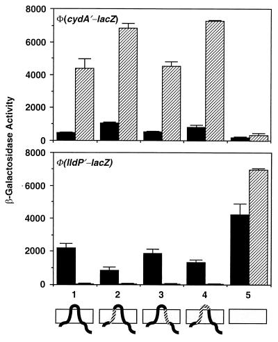 FIG. 3