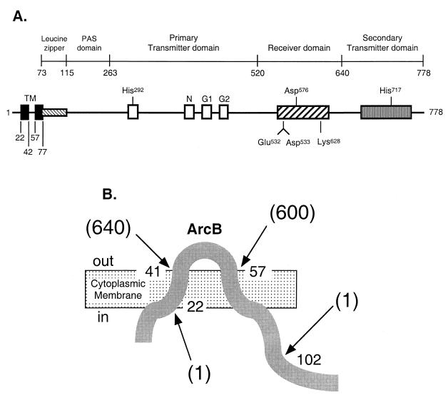 FIG. 1